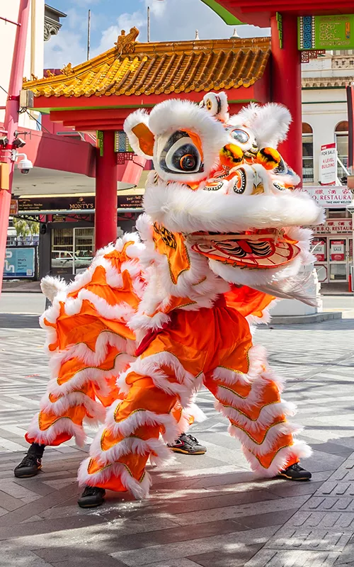 Lion dance