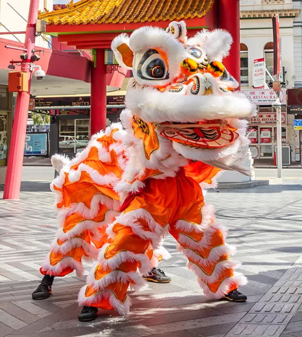 Lion dance