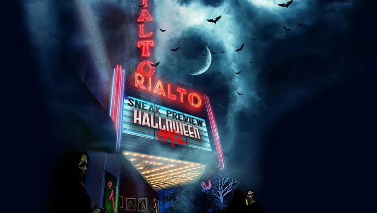 neon light signage with midnight sky and bats